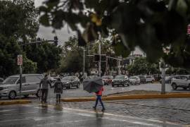 El SMN advirtió que el nuevo frente frío generará lluvias, vientos intensos y temperaturas gélidas en varias regiones del país.