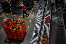 La secretaria Brooke Leslie Rollins encabezó reuniones con autoridades mexicanas para fortalecer la cooperación agrícola bilateral.