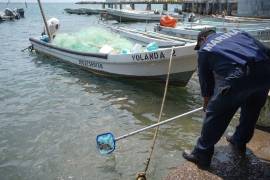 Reclaman que el gobierno federal no ha transparentado la magnitud de las afectaciones ni el costo que implicará remediar los daños.