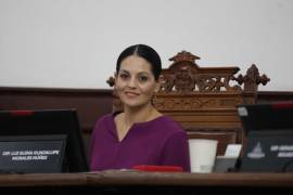 La diputada Luz Elena Morales Núñez, presidenta de la Junta de Gobierno del Congreso del Estado, explicó que el exhorto busca brindar herramientas legales homogéneas a las corporaciones policiales de la región.