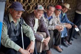 El reporte indica que, durante el último año, la informalidad sumó a 56 mil adultos mayores,