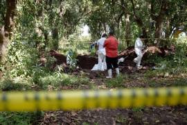 Fue localizada una parcela ubicada entre las comunidades de El Verde y Zavala, en el municipio de Concordia.