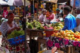 Cada año podrían evitarse unas 15 millones de muertes y las emisiones agrícolas podrían reducirse en un 15% si las personas en todo el mundo cambiaran a dietas más saludables, según la Comisión EAT-Lancet.