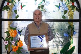 Hernández del Bosque ha recibido una serie de reconocimientos tanto en Saltillo como en Texas, entre ello el de Ciudadano Distinguido de Austin y de Texas, entre otros.