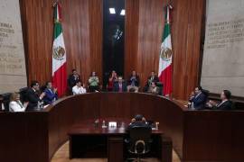 OPLES tienen facultades de emitir lineamientos, pero no pueden incorporar elementos que no están previstos en la legislación.