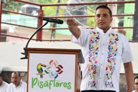 Asesinan a Miguel Bahena, alcalde de Pisaflores, Hidalgo. El PVEM condenó el crimen y exigió una investigación inmediata.