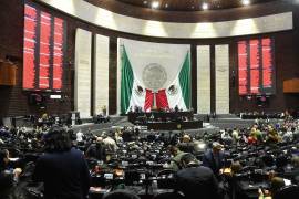 El Episcopado de México argumentó que el propósito de la solicitud es que no se ponga en riesgo el equilibrio de poderes.