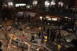 Coahuila, noveno estado con más visitantes a museos en México