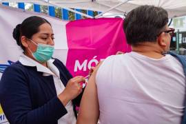 Del 1 de enero al pasado 8 de abril se han confirmado 8 mil 901 contagios de sarampión, y 21 mil 860 casos probables, de acuerdo con datos del Sistema Especial de Vigilancia Epidemiológica de Enfermedad Febril Exantemática de la Secretaría de Salud (Ssa).