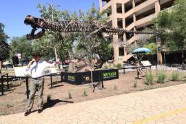 La paleoescultura del Tiranosaurio Rex fue instalada en el Tec de Monterrey, campus Saltillo.