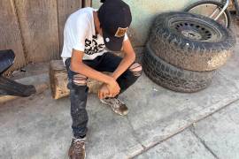 La Fiscalía General del Estado de Michoacán tiene un total de 25 procesos penales, donde se encuentran 18 adolescentes con medida cautelar de internamiento preventivo