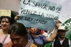 La iniciativa plantea involucrar a Semarnat, Guardia Nacional y Fiscalía General de la República en la prevención y sanción de ataques contra defensores del medio ambiente.