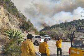 El incendio consumió más de tres mil 500 hectáreas de área natural entre Coahuila y Nuevo León, incluyendo fauna que era de alta longevidad.