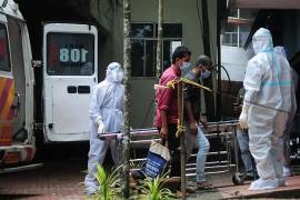 La confirmación de cinco casos del virus Nipah en India encendió las alarmas sanitarias internacionales. Este patógeno zoonótico, catalogado por la OMS como de prioridad absoluta, presenta una letalidad extremadamente alta.