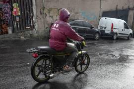 La CNPC informó que el Sistema Nacional de Protección Civil se mantiene activo y en coordinación permanente con autoridades estatales y municipales para atender cualquier emergencia.