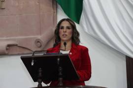 La legisladora Claudia Aldrete detalló diversos casos documentados de discriminación que incluyen actitudes negativas hacia clientes por motivos de color de piel, preferencia sexual, condición física, edad y otros.