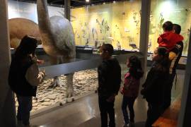 Se impulsa el turismo cultural como opción vacacional.