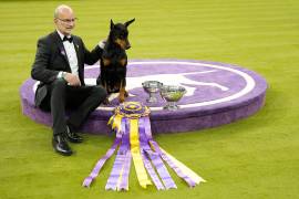Penny, una dóberman pinscher, posa para fotos con su entrenador Andy Linton tras ganar el premio Best in Show en la 150.ª edición de la Exposición Canina del Westminster Kennel Club en Nueva York.