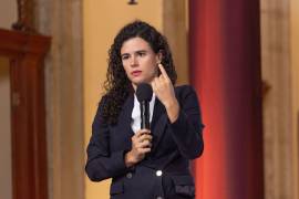 Destacó que la Comisión de Verificación que plantea el Poder Ejecutivo, podrá ser consultada por los partidos políticos.