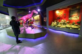 La sede será el Museo del Desierto en Saltillo