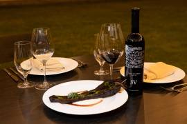 Con el lanzamiento de la edición limitada del vino 3V, Casa Madero se une a la celebración del Día del Vino,