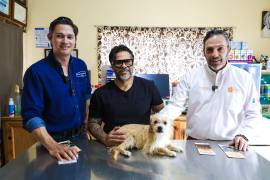Nuevo León inicia campaña preventiva contra gusano barrenador en mascotas; autoridades difunden protocolos y llaman a acudir al veterinario ante sospechas.