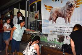 Un memorial en honor a “Rocky” fue colocado afuera de la veterinaria donde finalmente perdió la batalla contra la muerte.