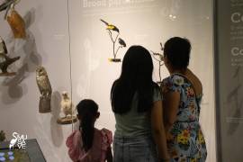 Familias y visitantes podrán recorrer las cinco salas de exhibición del recinto y conocer la diversidad de aves que forman parte del patrimonio natural de México.