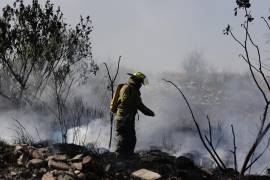 Bomberos lucharon contra las llamas en el predio baldío entre las colonias Mirasierra y Loma Linda.