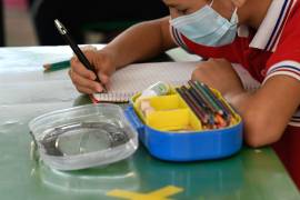 Alrededor de 8% de población en edad para cursar primaria o secundaria, no asiste a las aulas.