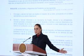 Aclaró que su gobierno mantiene una política abierta a la cooperación internacional en distintos ámbitos.