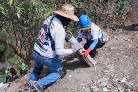 El Gobierno mexicano alista decreto para brindar atención más pronta y certera a los casos de periodistas y otros sectores en las fichas de desaparecidos.