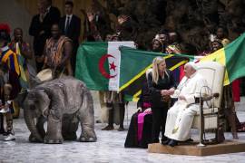 Dos elefantes robóticos y un circo con temática africana fueron los protagonistas en la audiencia general del papa Francisco.