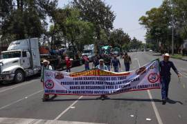 Integrantes de diversos frentes nacionales del campo se manifestaron marchando por Paseo de la Reforma
