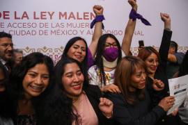 Elena Ríos, encabezó junto con el jefe de Gobierno de la CDMX, Martí Batres, la presentación de la Ley Malena, que comprende reformas que protegen a mujeres, niñas y trans a una vida libre de violencia.