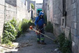 Además de limpieza y deshierbe en camllejones de la colonia Morelos, se realizaron labores de fumigación.