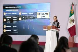 La presidenta de México, Claudia Sheinbaum informó que el Gobierno de México prevé invertir 1,17 billones de pesos hasta 2030 en generación, transmisión y distribución eléctrica y gasoductos.