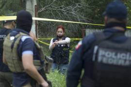 La Vocería de Seguridad de Tamaulipas informó que el operativo fue resultado de labores de investigación.