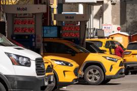 La Agencia Internacional de la Energía está compuesta por 32 países miembros y tienen por objetivo asegurar políticas nacionales para la seguridad energética.