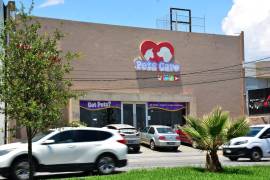 Instituciones de salud veterinaria de Saltillo y el estado exigen garantías legales frente al abandono de mascotas en clínicas y campañas de odio en redes sociales.