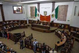 Legisladores locales señalaron que no existen antecedentes en Coahuila donde la ley de violencia vicaria haya sido aplicada contra mujeres, tema que ya era analizado por el tribunal.