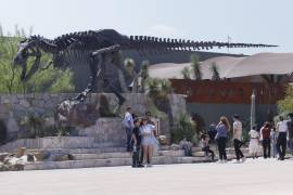 Aprovechar la AI y llegar a 500 mil visitantes al año, los retos del Museo del Desierto en Saltillo