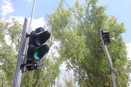 Utiliza algoritmos de inteligencia artificial para optimizar el flujo vehicular.