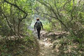 Autoridades estatales recomiendan no acercarse a estos animales, mantener la calma y reportar cualquier encuentro al número de emergencias 911.