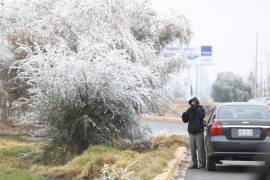Bajas temperaturas dejaron nieve en las inmediaciones de la carretera federal 57 entre Saltillo y Arteaga.