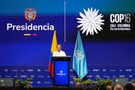 El presidente de Colombia, Gustavo Petro, pronuncia un discurso en la ceremonia de apertura de la COP16, una conferencia de las Naciones Unidas sobre biodiversidad, en Cali, Colombia.