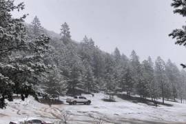 El SMN prevé bajas temperaturas, lluvias fuertes y posible caída de nieve o aguanieve en Coahuila por el paso de un nuevo sistema frontal.
