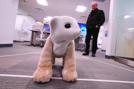 Colin Angle, cofundador y ex director ejecutivo del fabricante de aspiradoras Roomba, observa a Familiar, un prototipo de robot mascota con IA, en la empresa Familiar Machines &amp; Magic, en Woburn, Massachusetts.