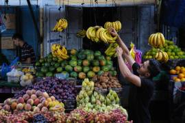 Un vendedor palestino coloca fruta en un mercado del campo de refugiados de Al-Shati, en la ciudad de Gaza, el miércoles 14 de octubre de 2026.