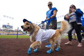 Las mascotas se dieron cita en el Dodger Stadium presumiendo sus más elaborados outfits para ver al equipo de sus amores.